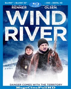 Viento Salvaje (2017) HD 1080P Latino ()