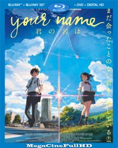 Your Name (2016) Full HD 1080P Latino ()