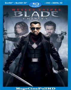 Blade: Trinity (2004) Extended Full HD 1080P Latino - 2004