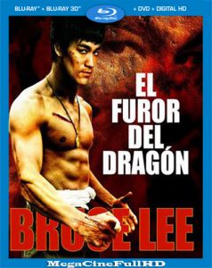 El Furor Del Dragón (1972) HD 1080P Latino ()