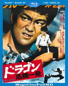 El Gran Jefe (1971) HD 1080P Latino ()