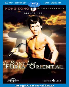 Furia Oriental (1972) HD 1080P Latino ()