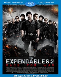 Los Mercenarios 2 (2012) Full HD 1080P Latino ()