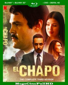 El Chapo Temporada 3 HD 1080P Latino ()