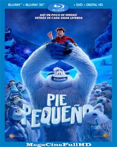 Pie pequeño (2018) Full HD 1080P Latino - 2018