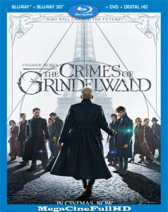 Animales Fantásticos: Los Crímenes De Grindelwald (2018) Full 1080P Latino ()