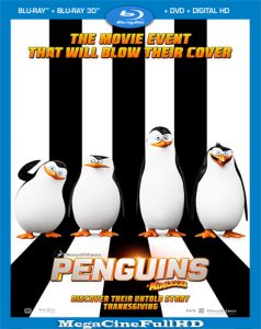 Los Pingüinos De Madagascar (2014) Full 1080P Latino ()