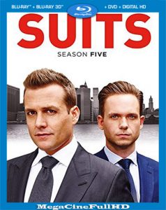 Suits Temporada 5 HD 1080p Latino - 2015