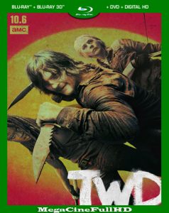 The Walking Dead Temporada 10 (2019) HD 1080P Latino ()