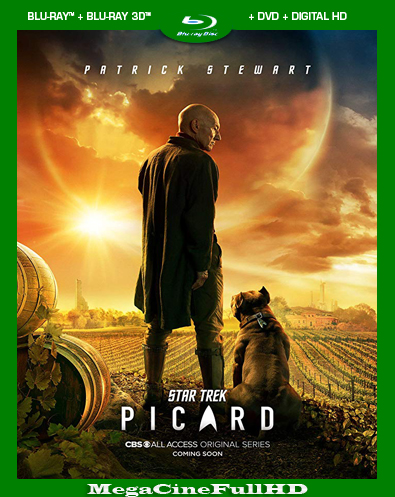 Star Trek: Picard Temporada 1 HD 1080P Latino