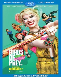 Aves De Presa (2020) Full 1080P Latino - 2020