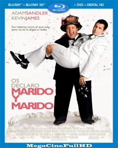 Yo Los Declaro Marido Y… Larry (2007) Full 1080P Latino ()