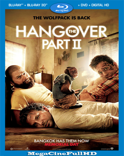 ¿Qué Pasó ayer? Parte 2 (2011) Full 1080P Latino