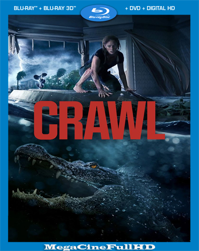 Infierno En La Tormenta (2019) Full 1080P Latino