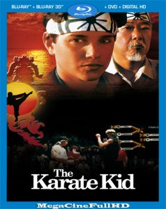 Karate Kid (1984) Full 1080P Latino ()