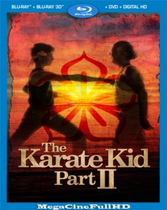 Karate Kid 2 (1986) Full 1080P Latino ()