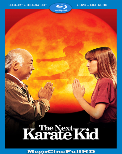 Karate Kid 4: La Nueva Aventura (1994) Full 1080P Latino