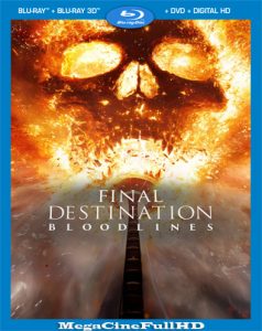 Destino Final: Lazos De Sangre (2025) Full 1080P Latino ()