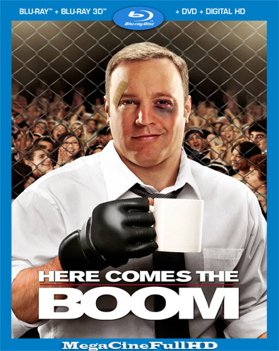 El Maestro Luchador (2012) Full 1080P Latino